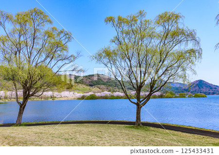 藏王山七宿水壩公園的春天 藏王山七宿水壩公園的春天 125433431