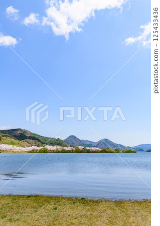 Spring at Shichikashuku Dam Park, Mt. Zao Spring at Shichikashuku Dam Park, Mt. Zao 125433436