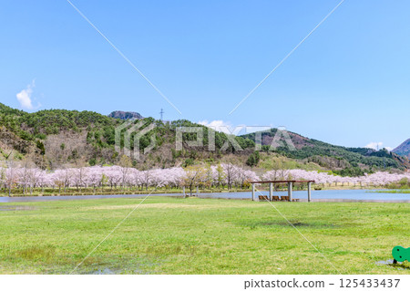 Spring at Shichikashuku Dam Park, Mt. Zao Spring at Shichikashuku Dam Park, Mt. Zao 125433437