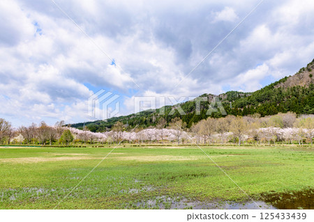 Spring at Shichikashuku Dam Park, Mt. Zao 125433439