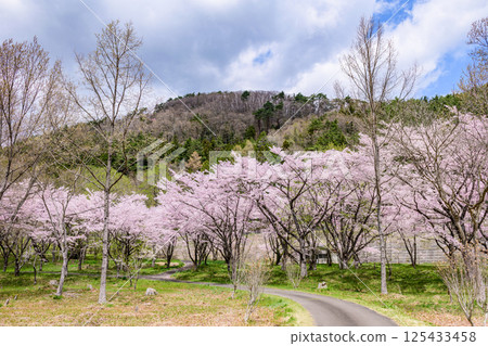 Spring at Shichikashuku Dam Park, Mt. Zao Spring at Shichikashuku Dam Park, Mt. Zao 125433458