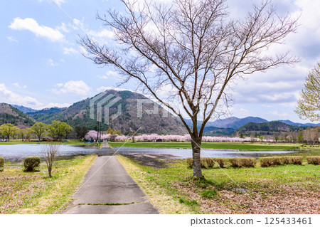 藏王山七宿水壩公園的春天 藏王山七宿水壩公園的春天 125433461