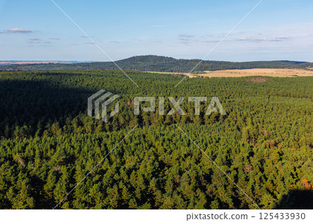 breathtaking view from the Regenstein castle ruins in Harz, Germany, showcasing vast forests, farmland, and a clear blue sky with scattered clouds on a sunny day 125433930