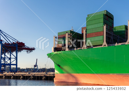 Scenic view giant cargo container ship loading Hamburg city port harbor against seaport cranes warm evening sunset lights. Global commercial trade freight charter shipping and logistics background Scenic view giant cargo container ship loading Hamburg city port harbor against seaport cranes warm evening sunset lights. Global commercial trade freight charter shipping and logistics background 125433932