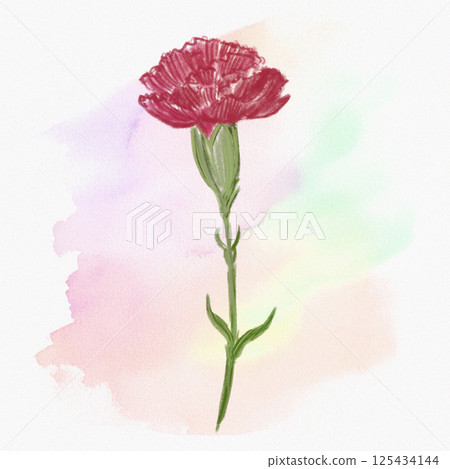 水彩康乃馨 125434144