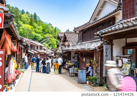 [Important Preservation District for Groups of Traditional Buildings] Fukiya: Golden Week Townscape 10, Nariwa-cho, Takahashi City, Okayama Prefecture 125434426