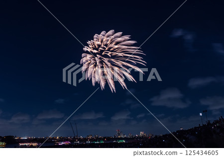 Edogawa Fireworks Festival, Tokyo 125434605