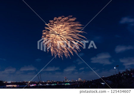 Edogawa Fireworks Festival, Tokyo 125434607