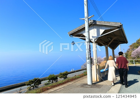 【愛媛郡】JR下灘站(日本最靠近海邊的車站)春季櫻花盛開 【愛媛郡】JR下灘站(日本最靠近海邊的車站)春季櫻花盛開 125434945