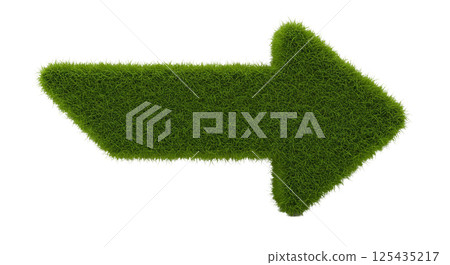 grass path with path grass path with path 125435217