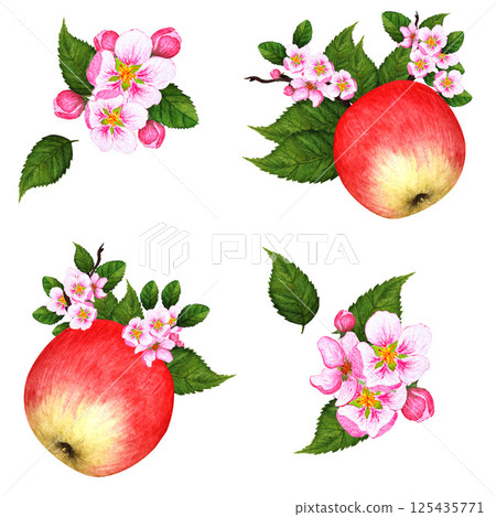 Watercolor botanical apple and pink floral seamless pattern. Summer floral background, nature wallpaper, watercolor backdrop fashion textile Watercolor botanical apple and pink floral seamless pattern. Summer floral background, nature wallpaper, watercolor backdrop fashion textile 125435771