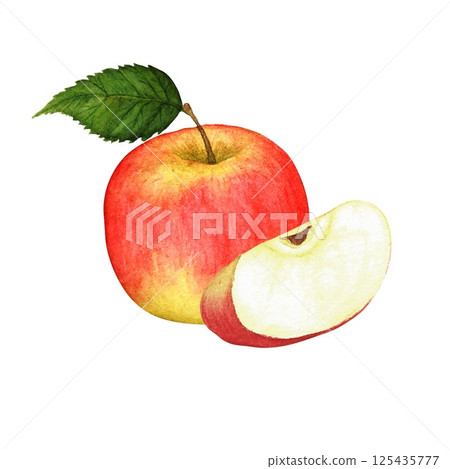 Watercolor composition of a red ripe apple and an apple slice. Set of ripe red apples and blooming apple tree branches, spring apple bouquets, hand drawn isolated illustration on white background Watercolor composition of a red ripe apple and an apple slice. Set of ripe red apples and blooming apple tree branches, spring apple bouquets, hand drawn isolated illustration on white background 125435777