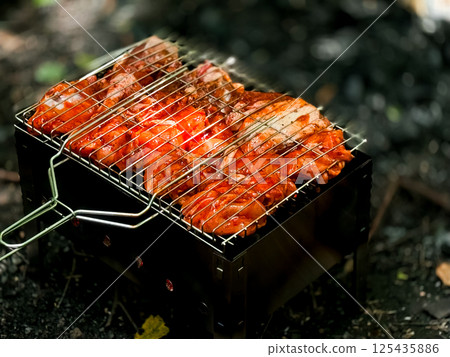Juicy marinated chicken cooking on portable charcoal grill outdoors Juicy marinated chicken cooking on portable charcoal grill outdoors 125435886