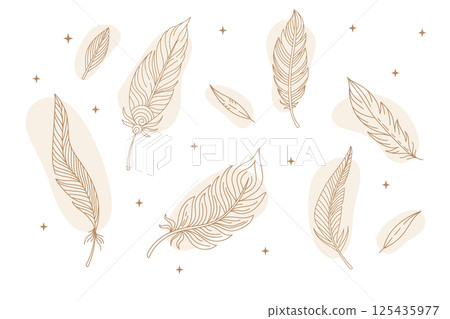 Set of celestial abstract line art feathers vector illustration 125435977