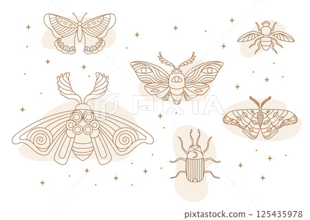 Celestial abstract magic insects vector set illustration 125435978