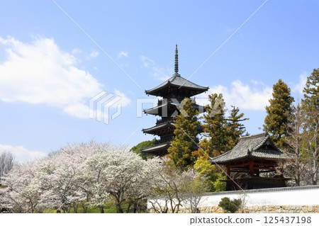 [Okayama Prefecture] Bicchukokubunji Temple in spring (cherry blossoms and five-story pagoda) 125437198