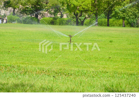 Watering the lawn with a sprinkler (Osaka Castle Nishinomaru Garden) 125437240