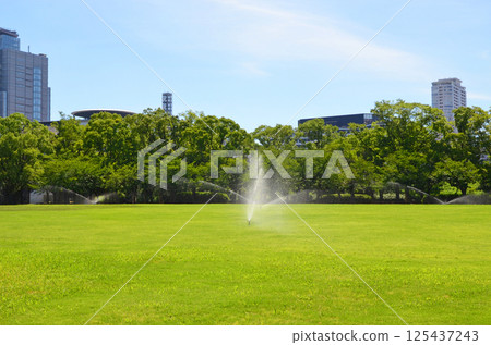 Watering the lawn with a sprinkler (Osaka Castle Nishinomaru Garden) 125437243