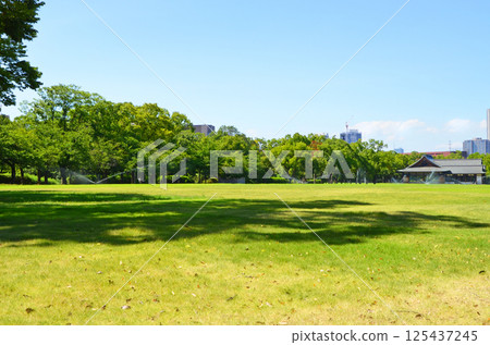 大阪城堡Nishinomaru庭院風景 125437245