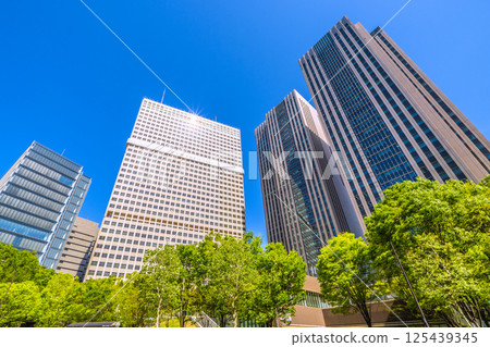 Tokyo cityscape in Japan in April, overlooking the Ministry of Education, Culture, Sports, Science and Technology and Kasumigaseki Building in the government district with fresh greenery 125439345