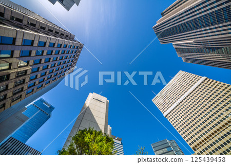 Tokyo cityscape in Japan in April, overlooking the Ministry of Education, Culture, Sports, Science and Technology and Kasumigaseki Building in the government district with fresh greenery 125439458