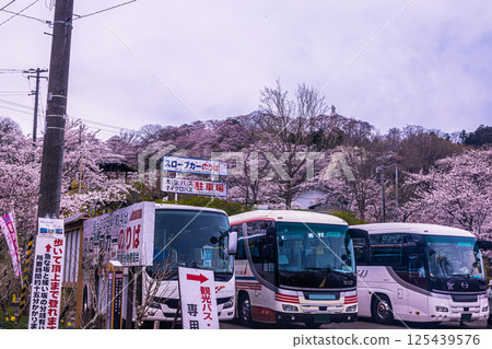 [Miyagi Prefecture_Funaoka Castle Ruins Park] A colorful display of flowers covering the entire mountain 125439576