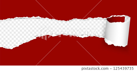 Torn paper hole. Ripped paper sheet curl with torn edge. Hole in teared page with rolled strip. Destroyed document sheet. Vector 3D banner template with space for text 125439735