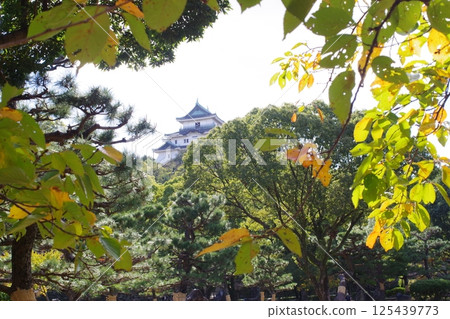 從公園眺望和歌山城天守閣 從公園眺望和歌山城天守閣 125439773