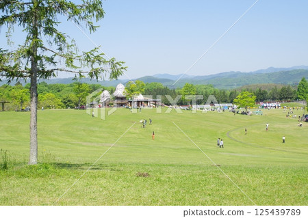 View of the large grass field at Bihoku Hills Park 125439789