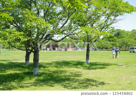 Bihoku Hillside Park Sports Grounds Bihoku Hillside Park Sports Grounds 125439802