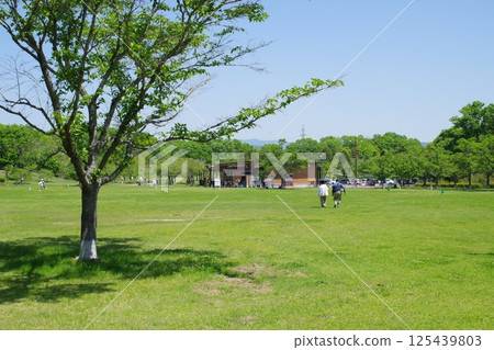 Bihoku Hillside Park Sports Grounds 125439803