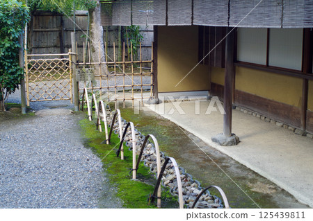 和歌山城公園甲松庵庭園景觀 和歌山城公園甲松庵庭園景觀 125439811