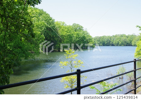 View of Kunikane Pond in Bihoku Hills Park 125439814