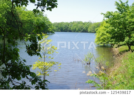 View of Kunikane Pond in Bihoku Hills Park 125439817