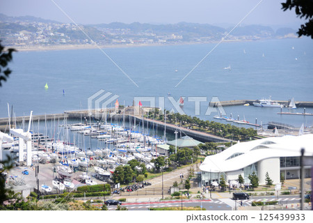 從江之島中宮廣場眺望 從江之島中宮廣場眺望 125439933