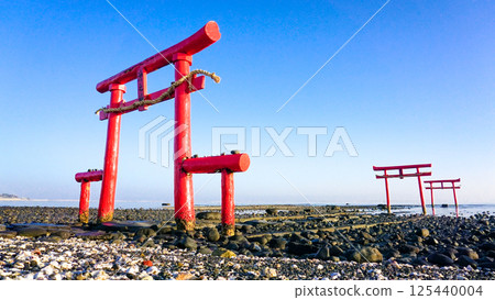 Underwater torii gate, Ouojinja Shrine, Tara Town, Saga Prefecture Underwater torii gate, Ouojinja Shrine, Tara Town, Saga Prefecture 125440004