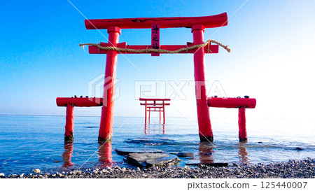 Underwater torii gate, Ouojinja Shrine, Tara Town, Saga Prefecture 125440007