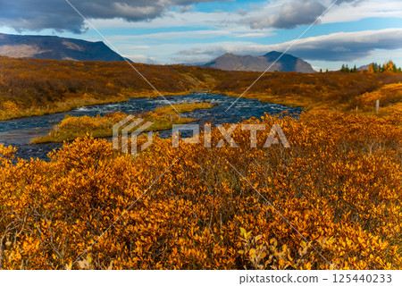 Autumn landscape features a river flowing through a forest filled with vibrant fall foliage in Iceland. The scene includes colorful trees, calm water, and distant mountains under a cloudy sky 125440233