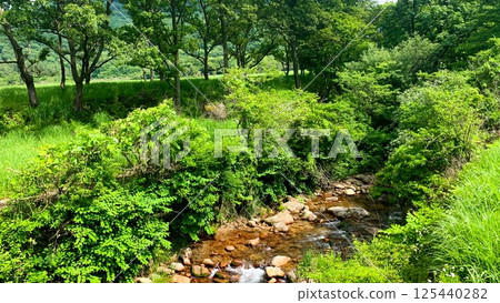 Tadewara Marsh in Aso Kuju National Park 125440282