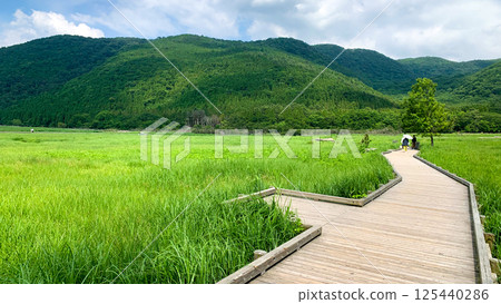 阿蘇九重國立公園的蓼原沼澤 阿蘇九重國立公園的蓼原沼澤 125440286