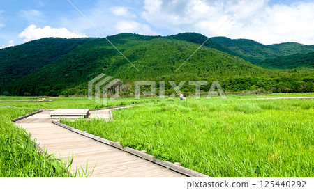 Tadewara Marsh in Aso Kuju National Park 125440292