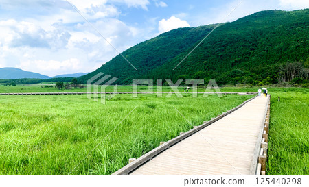 阿蘇九重國立公園的蓼原沼澤 阿蘇九重國立公園的蓼原沼澤 125440298