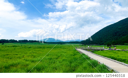 Tadewara Marsh in Aso Kuju National Park 125440318