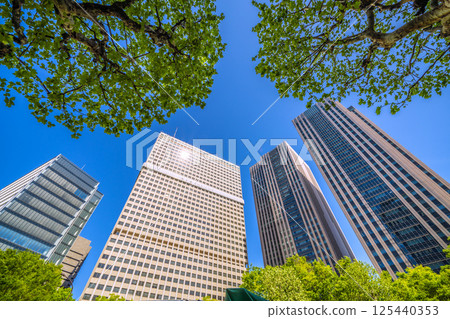 Tokyo cityscape in Japan in April, overlooking the Ministry of Education, Culture, Sports, Science and Technology and Kasumigaseki Building in the government district with fresh greenery 125440353