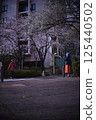Photo shoot under the cherry blossoms 125440502