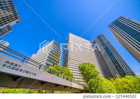 Tokyo cityscape in Japan in April, overlooking the Ministry of Education, Culture, Sports, Science and Technology and Kasumigaseki Building in the government district with fresh greenery Tokyo cityscape in Japan in April, overlooking the Ministry of Education, Culture, Sports, Science and Technology and Kasumigaseki Building in the government district with fresh greenery 125440581