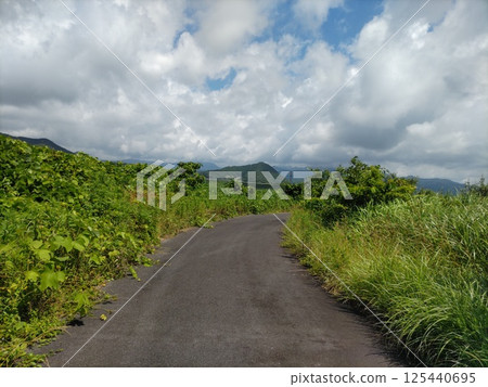 A road that continues under the blue sky 125440695