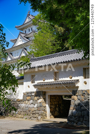 岐阜縣的大垣城 岐阜縣的大垣城 125440749