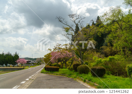 信樂町,一個鄉村小鎮 信樂町,一個鄉村小鎮 125441262