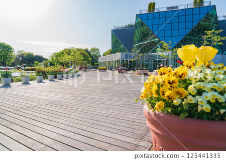 春花公園湖南，鬱金香盛開（愛知縣湖南市） 125441335